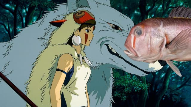 Nova espécie de peixe homenageia Princesa Mononoke