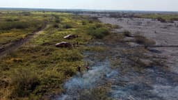 Governo cria projeto para integrar forças em desastres