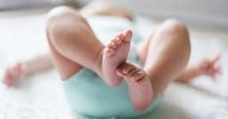 Bebê morre após ataque de cachorro da família em casa