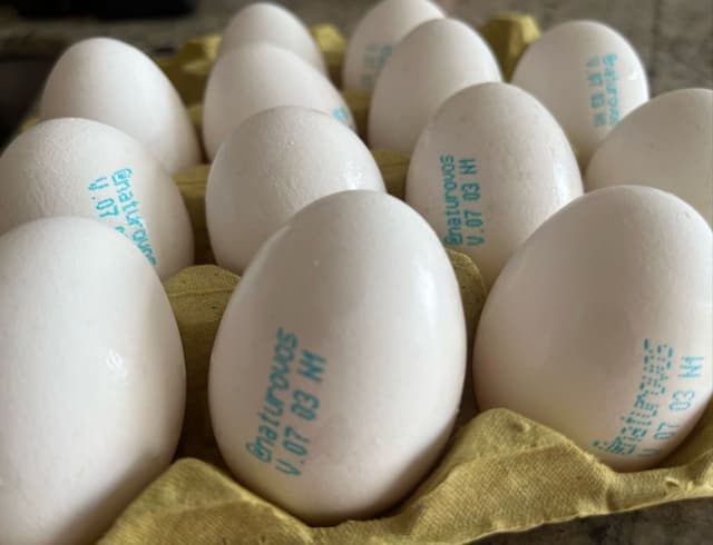 Carimbo de validade em ovos avulsos não é mais obrigatório