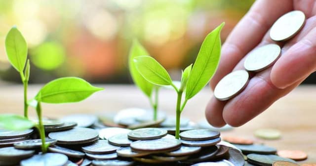 Soluarq investe R$ 60 milhões em transformação digital