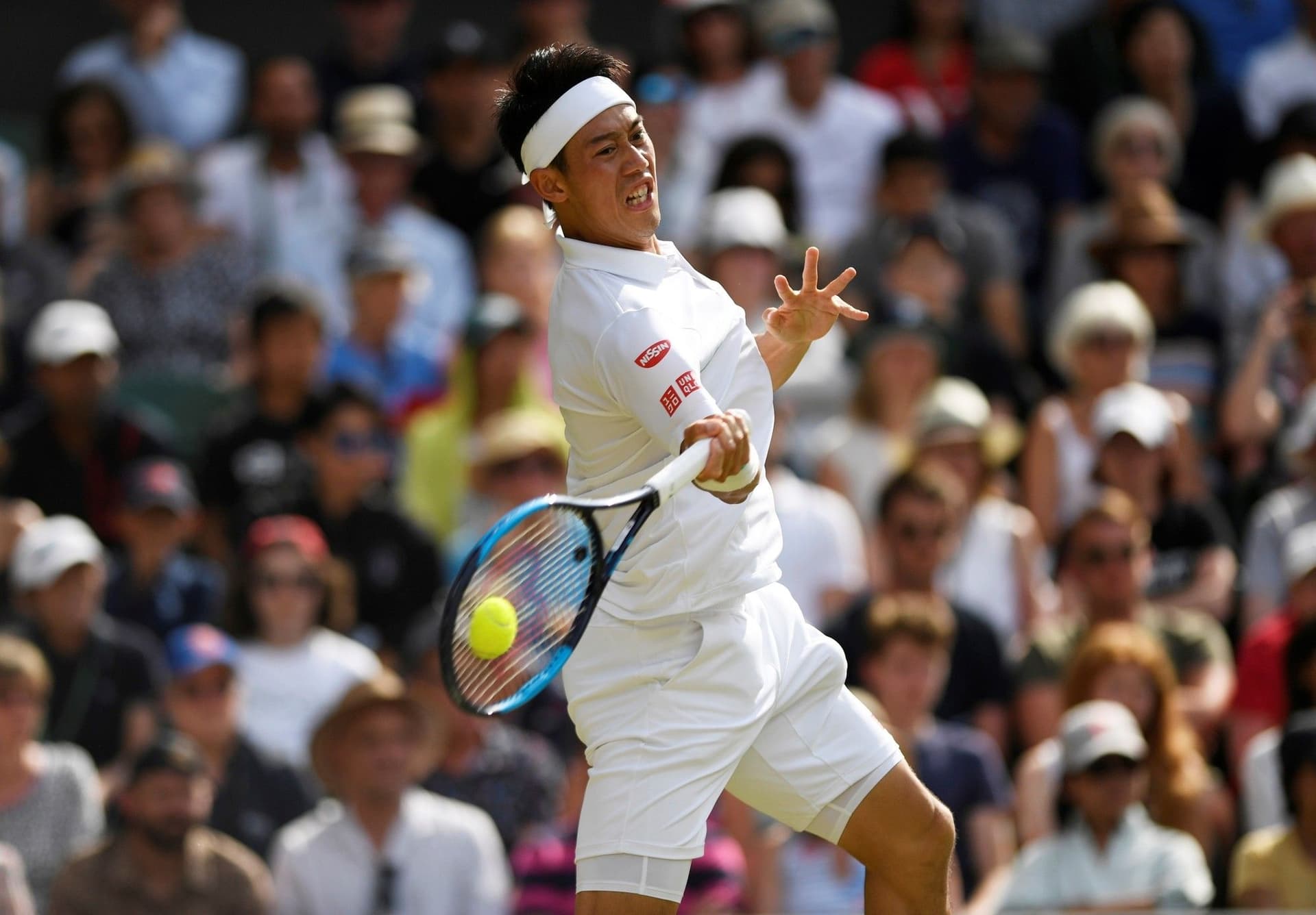 Kei Nishikori: Adversário de João Fonseca na Semifinal