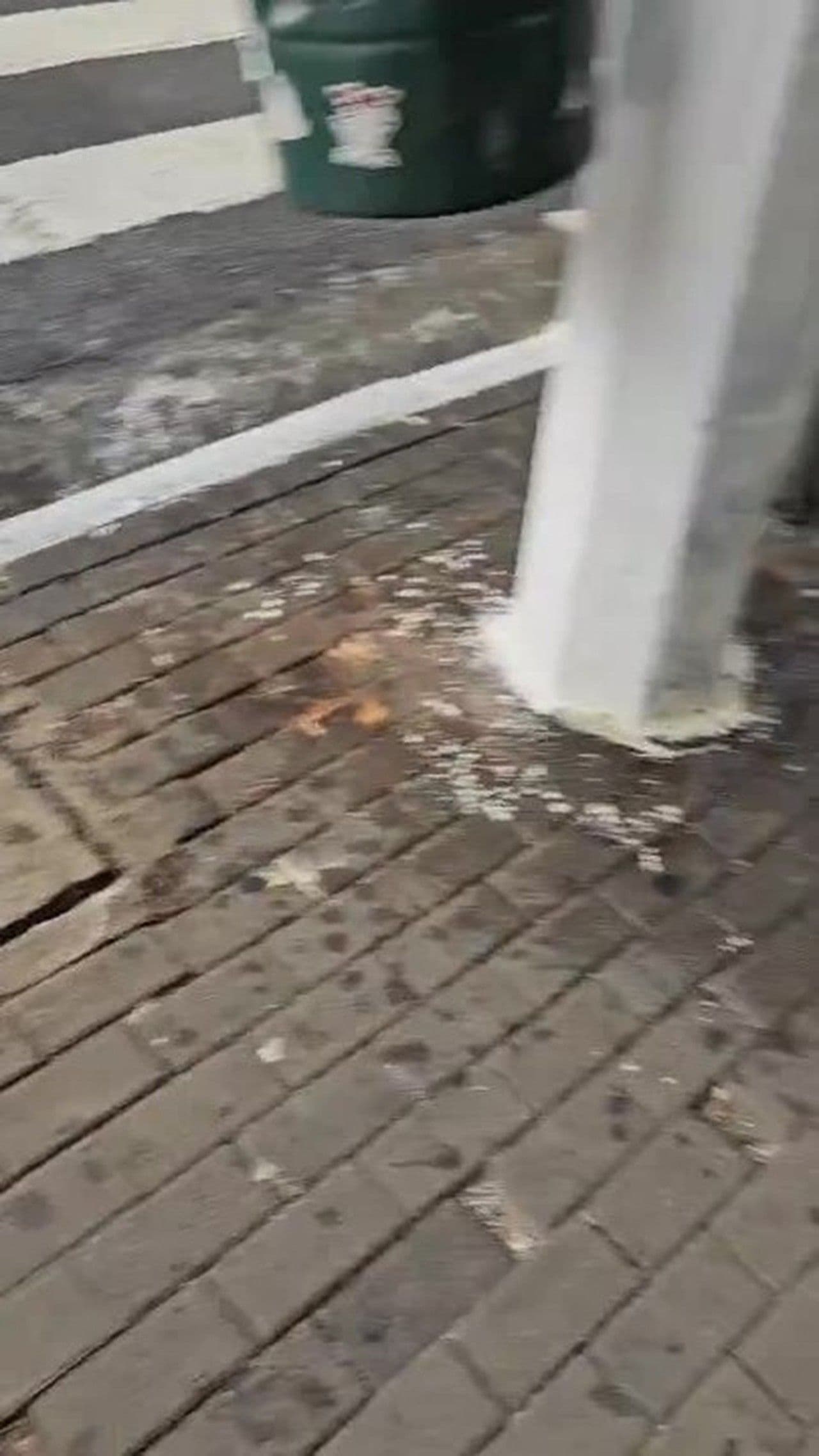 São Paulo registra granizo e alerta de alagamentos