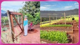 Ana Maria Braga se recupera após picada de escorpião