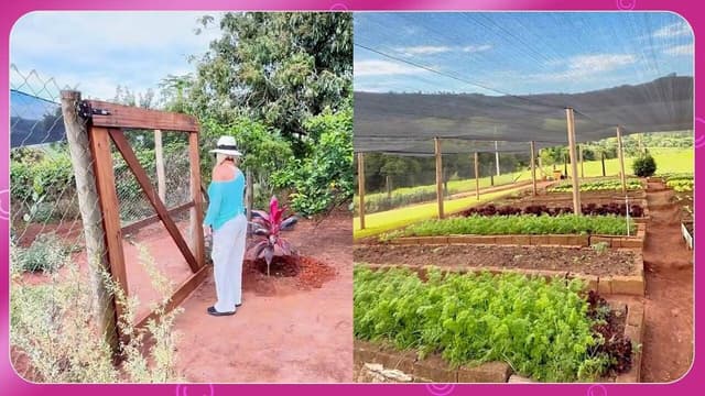 Ana Maria Braga se recupera após picada de escorpião