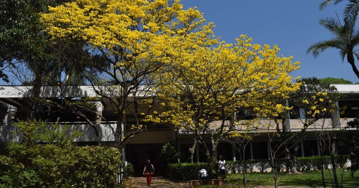 Colégio Santa Cruz expulsa alunos por bullying no WhatsApp