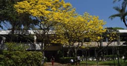 Colégio Santa Cruz expulsa alunos por bullying no WhatsApp