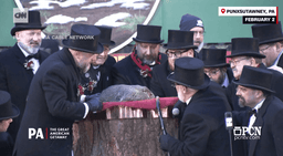 Marmota Phil prevê mais seis semanas de inverno em 2025