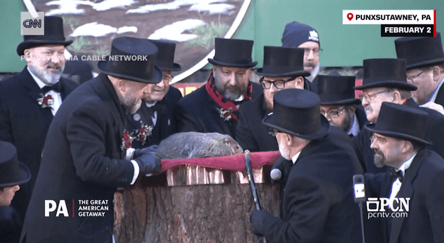 Marmota Phil prevê mais seis semanas de inverno em 2025