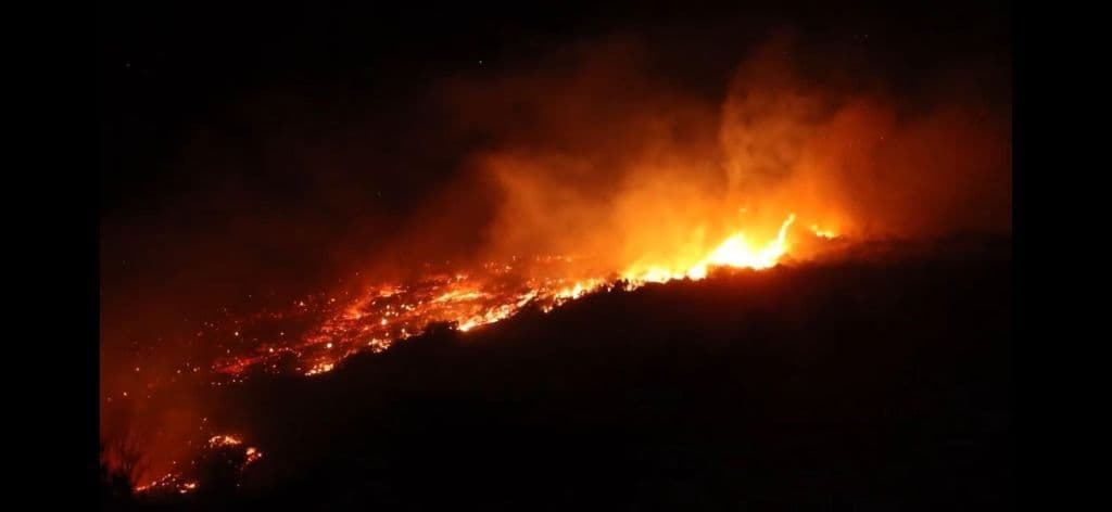 Incêndios florestais devastam área rural na Síria